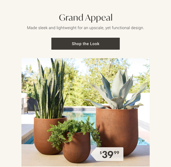 Grand Appeal - Shop The Look