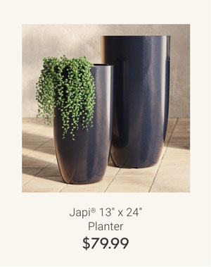 Japi 13" x 24" Planter