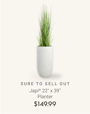 Japi 22" x 39" Planter
