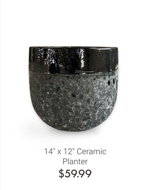 14" x 12" Ceramic Planter