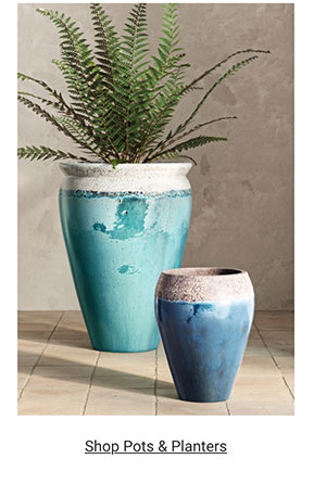 Shop Pots & Planters >