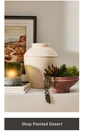 Shop Painted Desert >