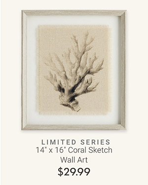 14" x 16" Coral Sketch Wall Art