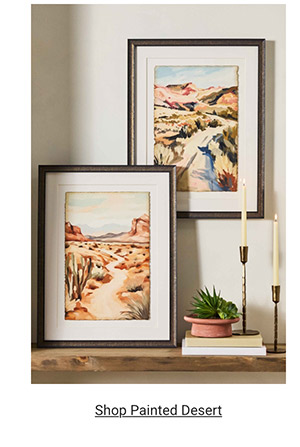 Shop Painted Desert >
