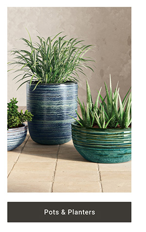 Pots & Planters