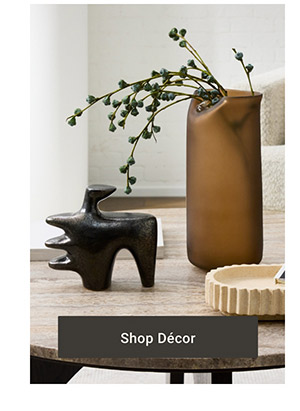 Shop Décor >