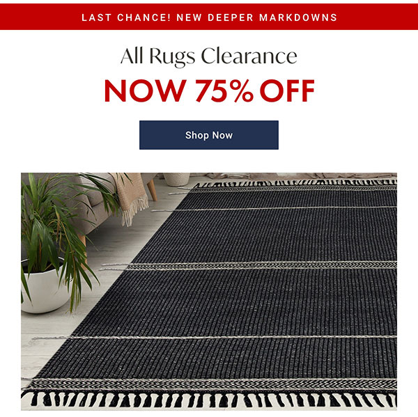 75% Off Rugs Clearance | Shop Now >