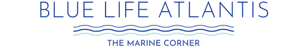 Blue Life logo