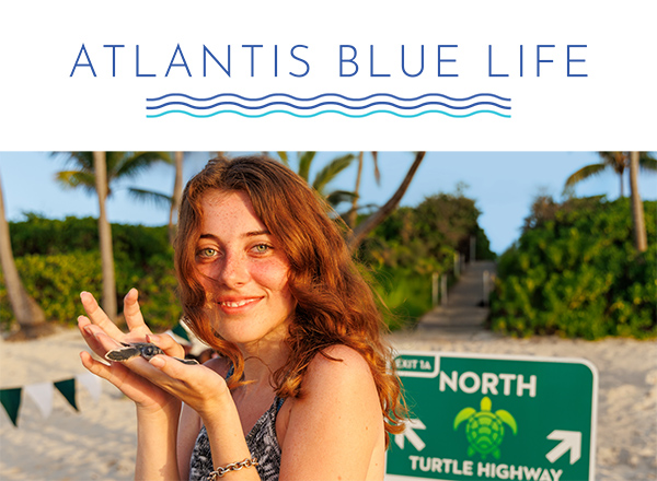 Blue Life Story