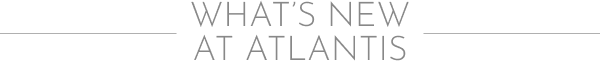 What's New at Atlantis