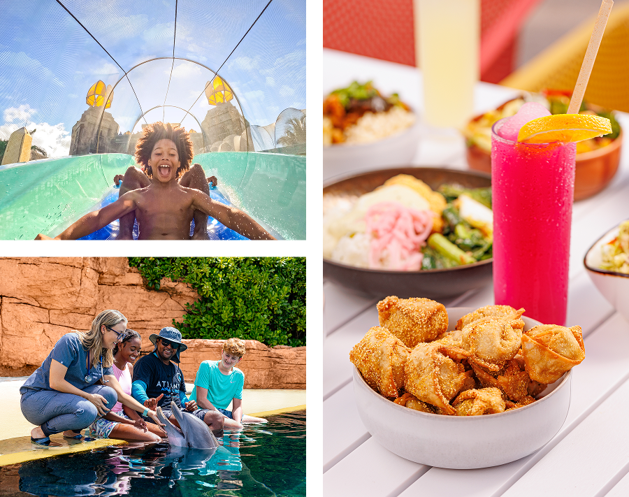 Grid showing a family walking by a water slide, swimming dolphins, and a tropical frozen cocktail.