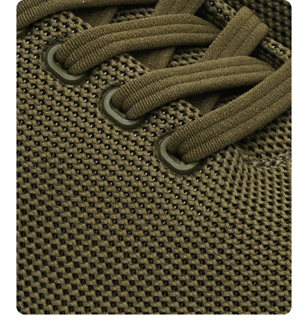 Atoms Clove Green