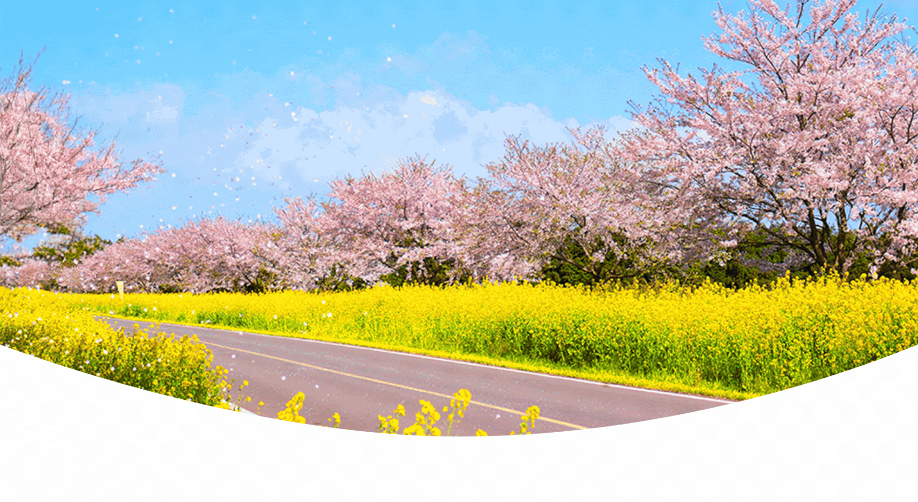 Car Rental Auto Europe