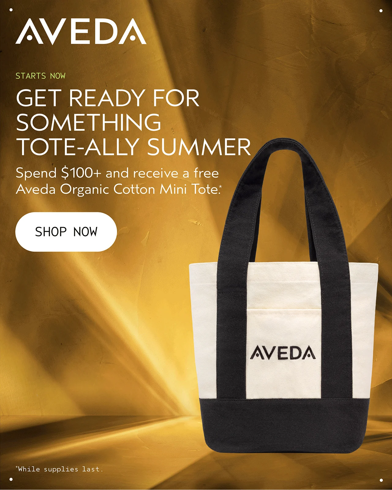 STARTS NOW GET READY FOR SOMETHING TOTE-ALLY SUMMER Spend $100+ and receive a free Aveda Organic Cotton Mini Tote.