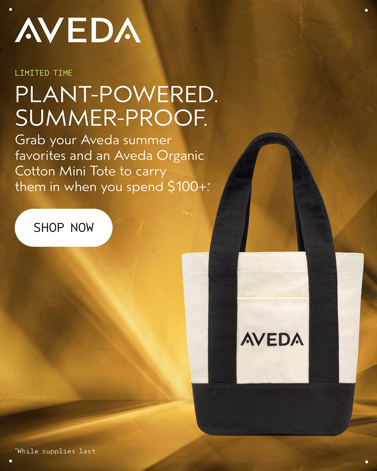 LIMITED TIME PLANT-POWERED. SUMMER-PROOF. Grab your Aveda Summer favorites and an Aveda Organic Cotton Mini Tote to carry them in when you spend $100+.