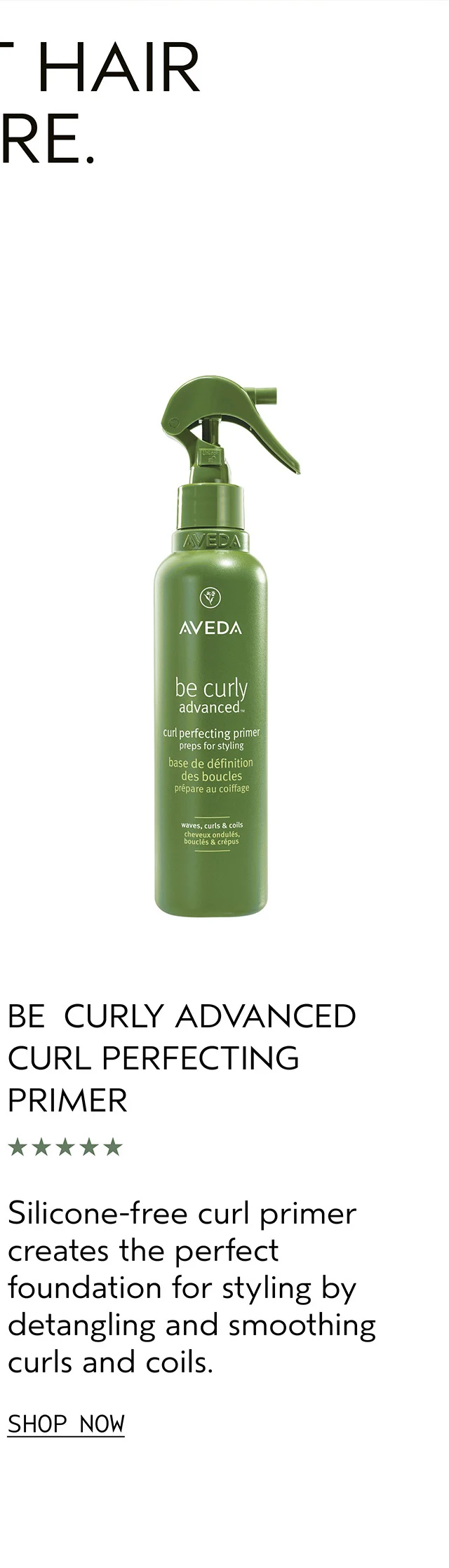 BE CURLY ADVANCED CURL PERFECTING PRIMER Silicone-free curl primer creates the perfect foundation for styling by detangling and smoothing curls and coils.
