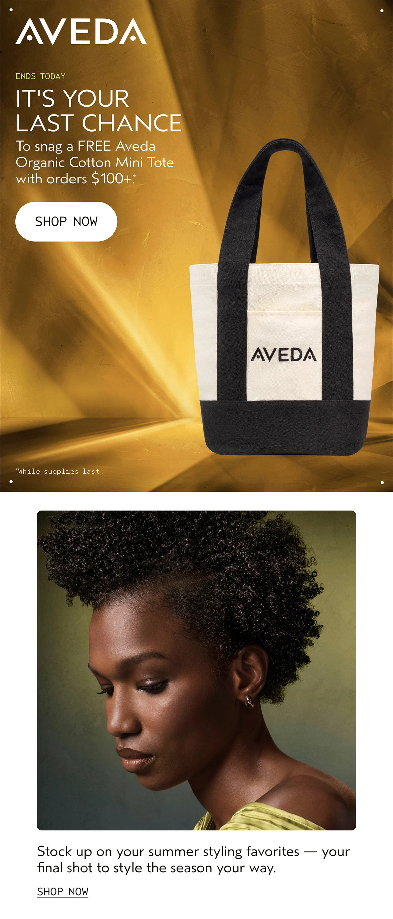 ENDS TODAY IT'S YOUR LAST CHANCE To snag a FREE Aveda Organic Cotton Mini Tote with orders $100+