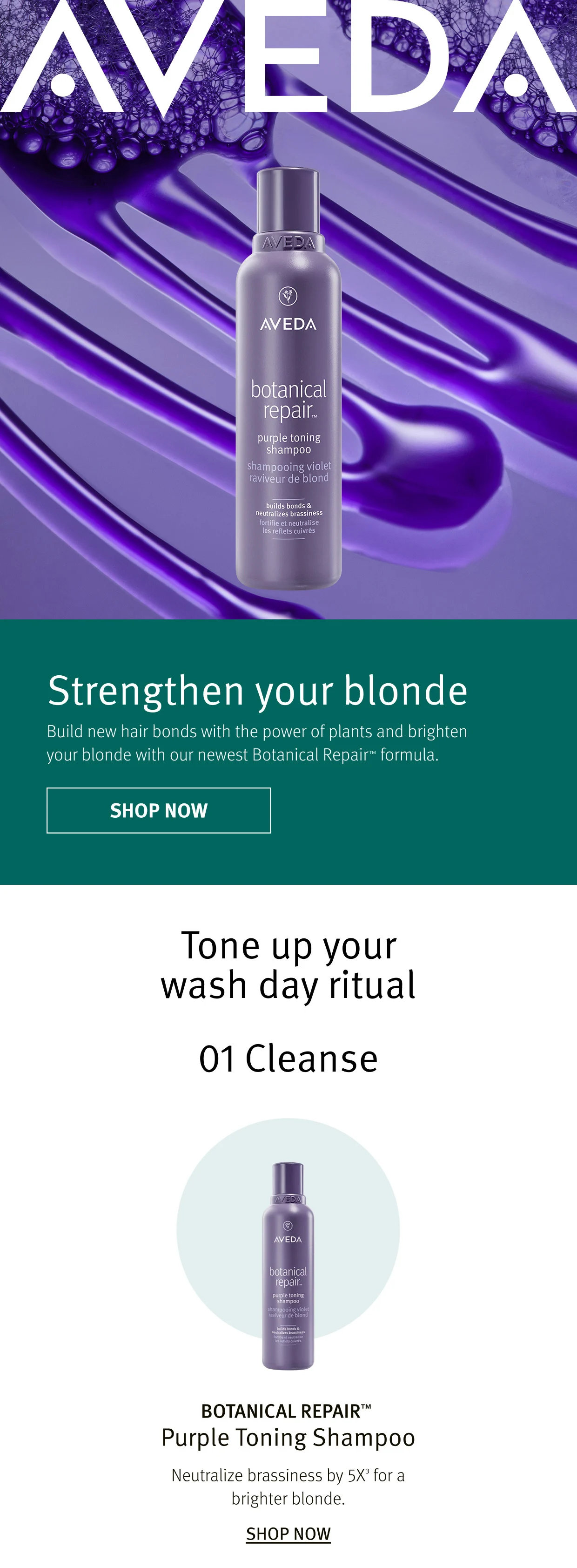 BOTANICAL REPAIR Purple Toning Shampoo