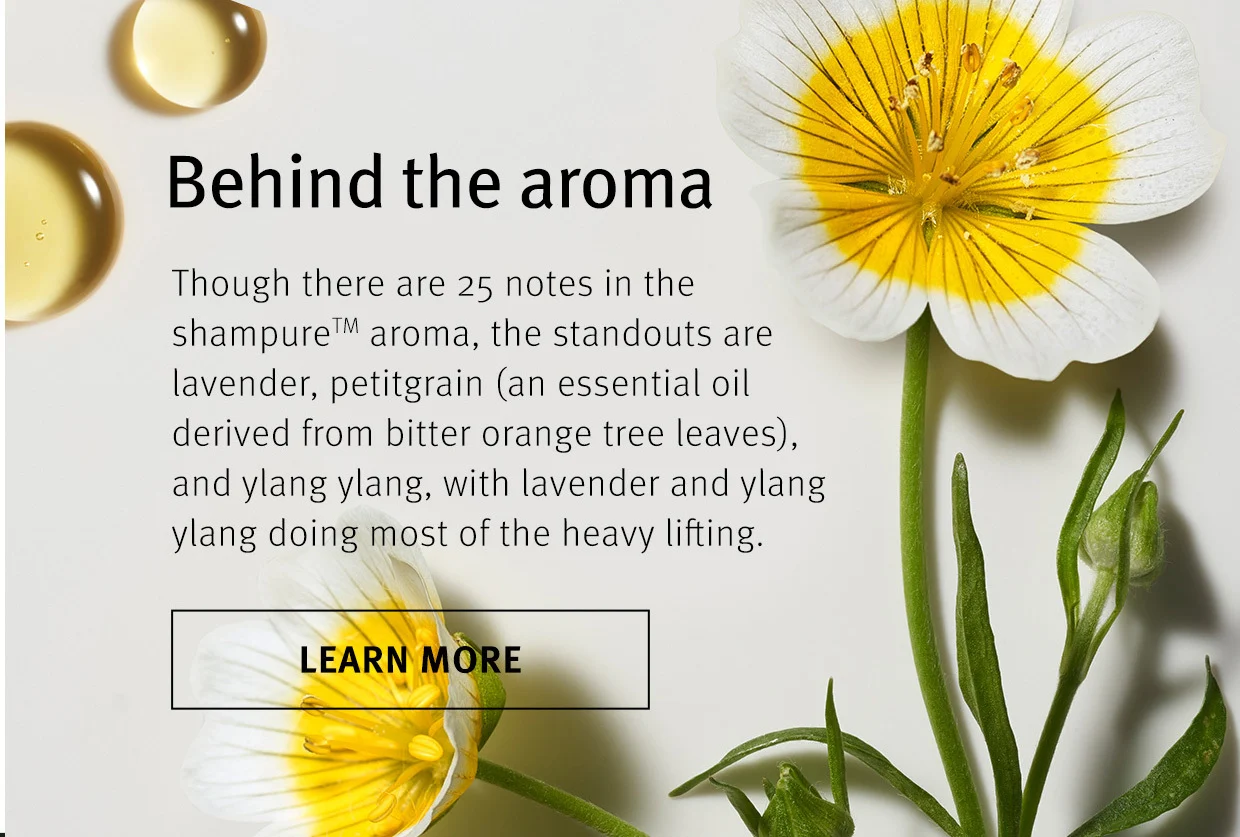LEARN MORE