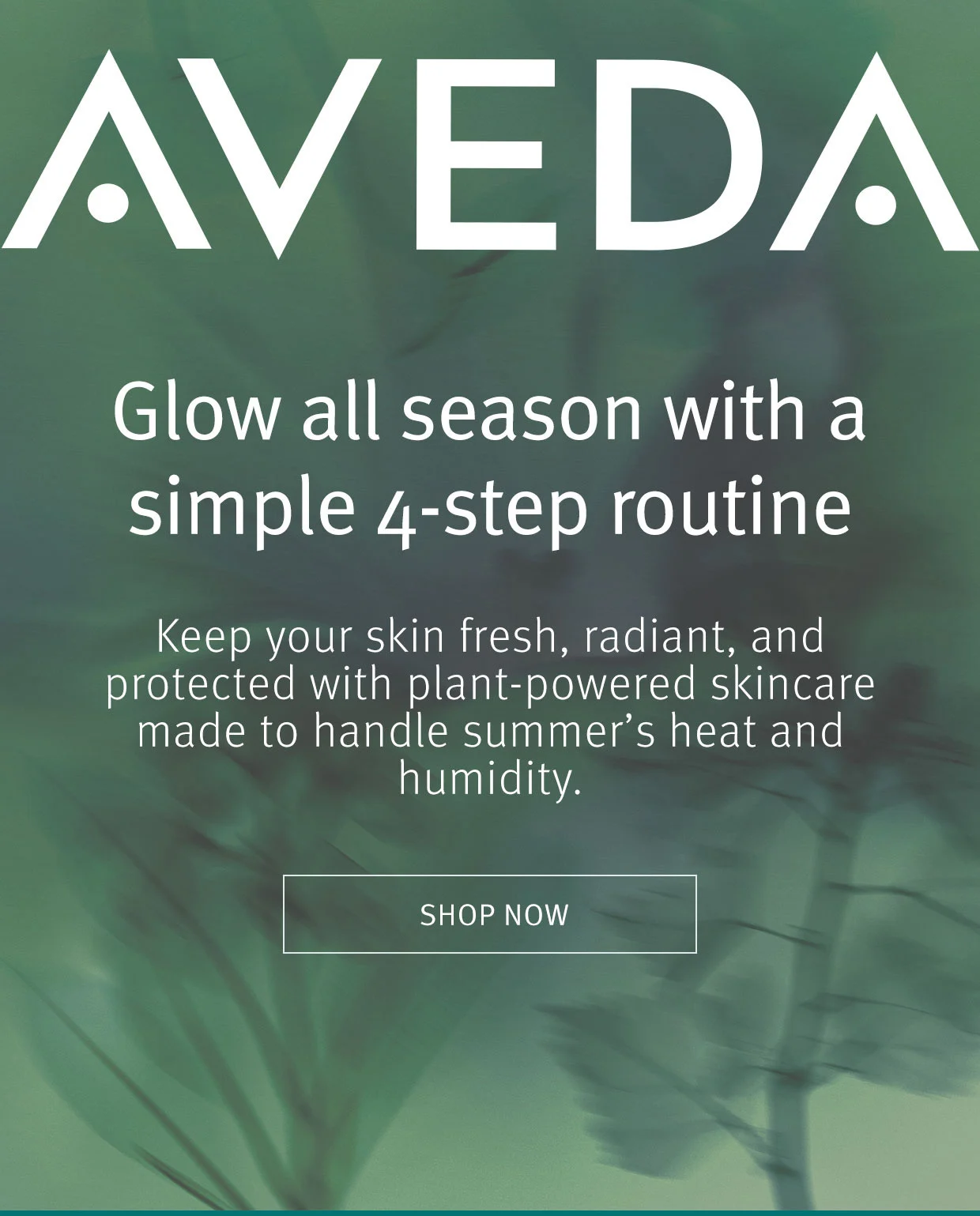 Glow all season with a simple 4-step routine