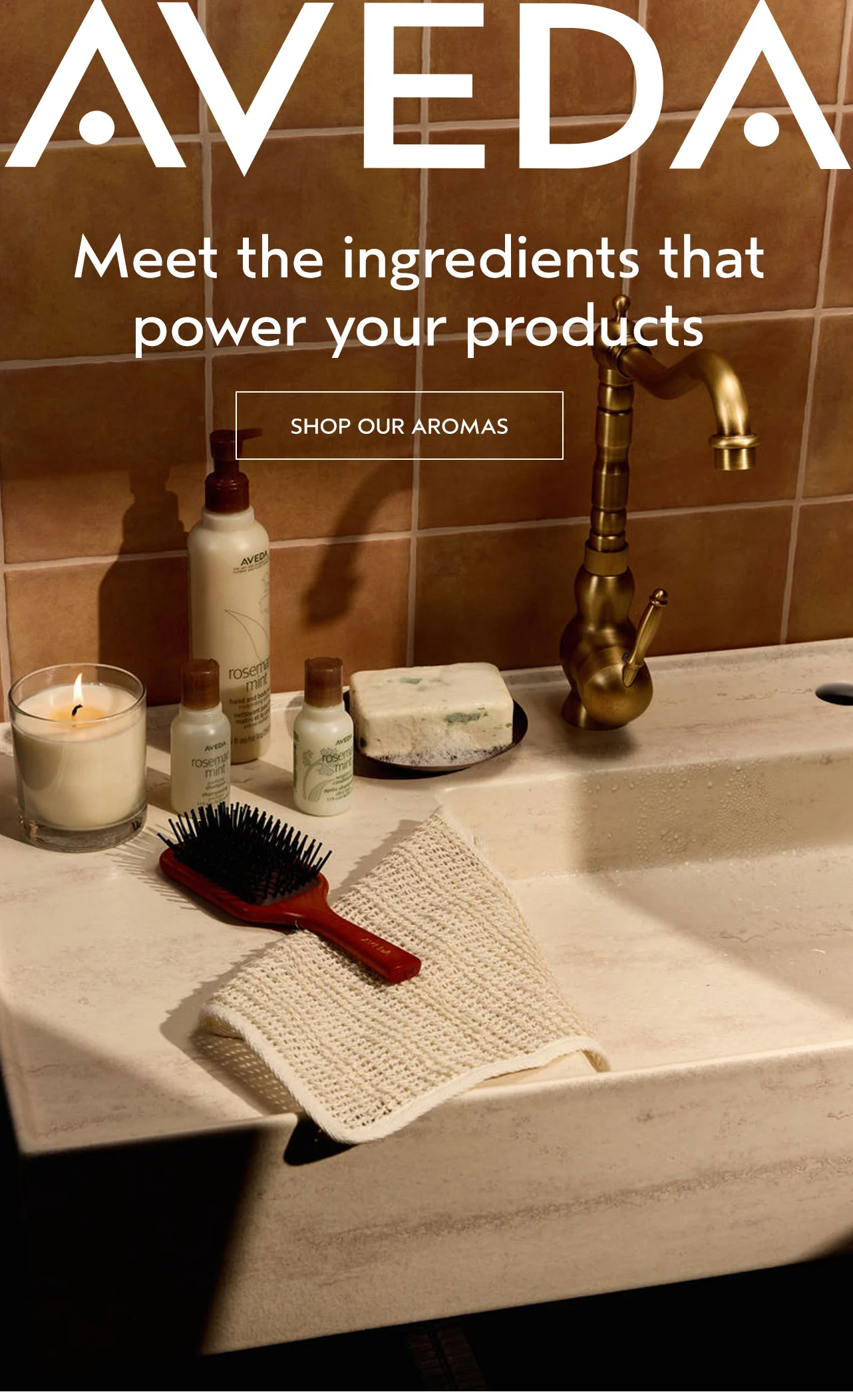 Meet the ingredients that power your products