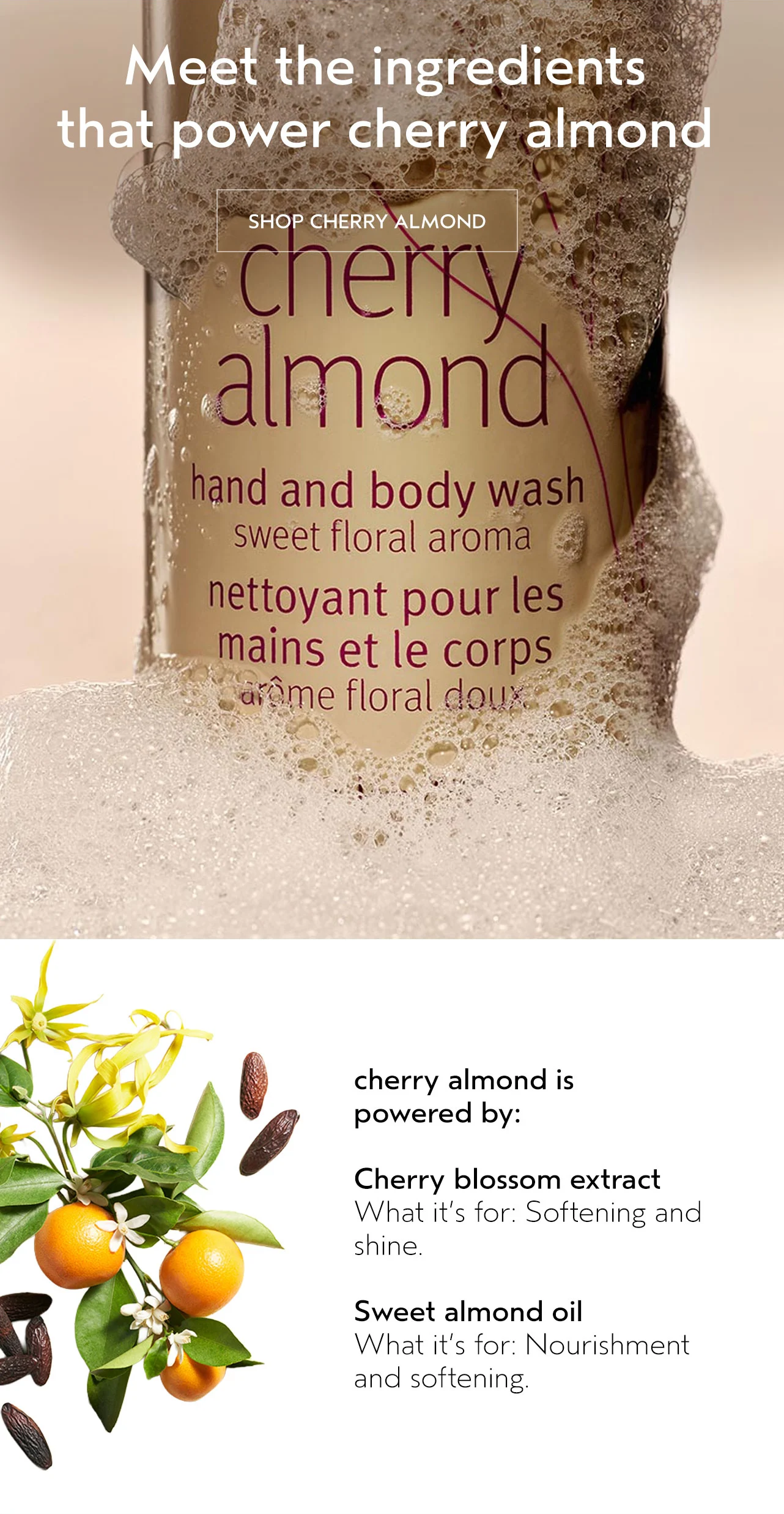 Meet the ingredients that power cherry almond