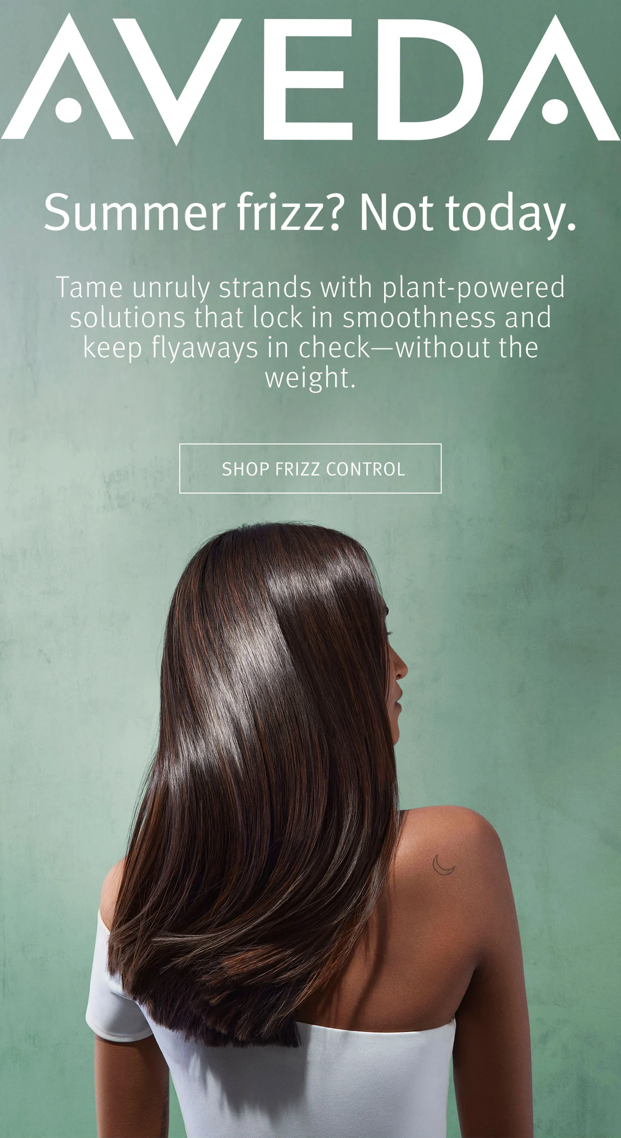 Summer frizz? Not today Tame unruly strands with plant-powered solutions that lock in smoothness and keep flyaways in check--without the weight.