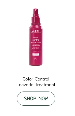 Color Control Leave-In Treatment