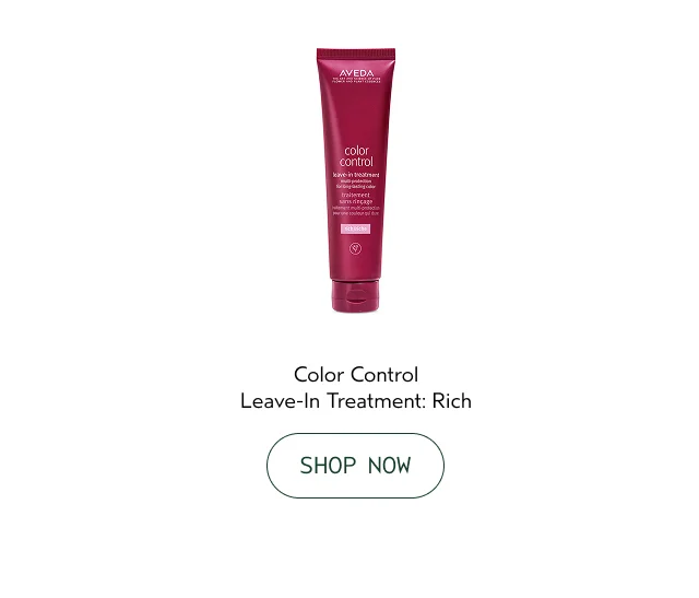 Color Control Leave-In Treatment: Rich