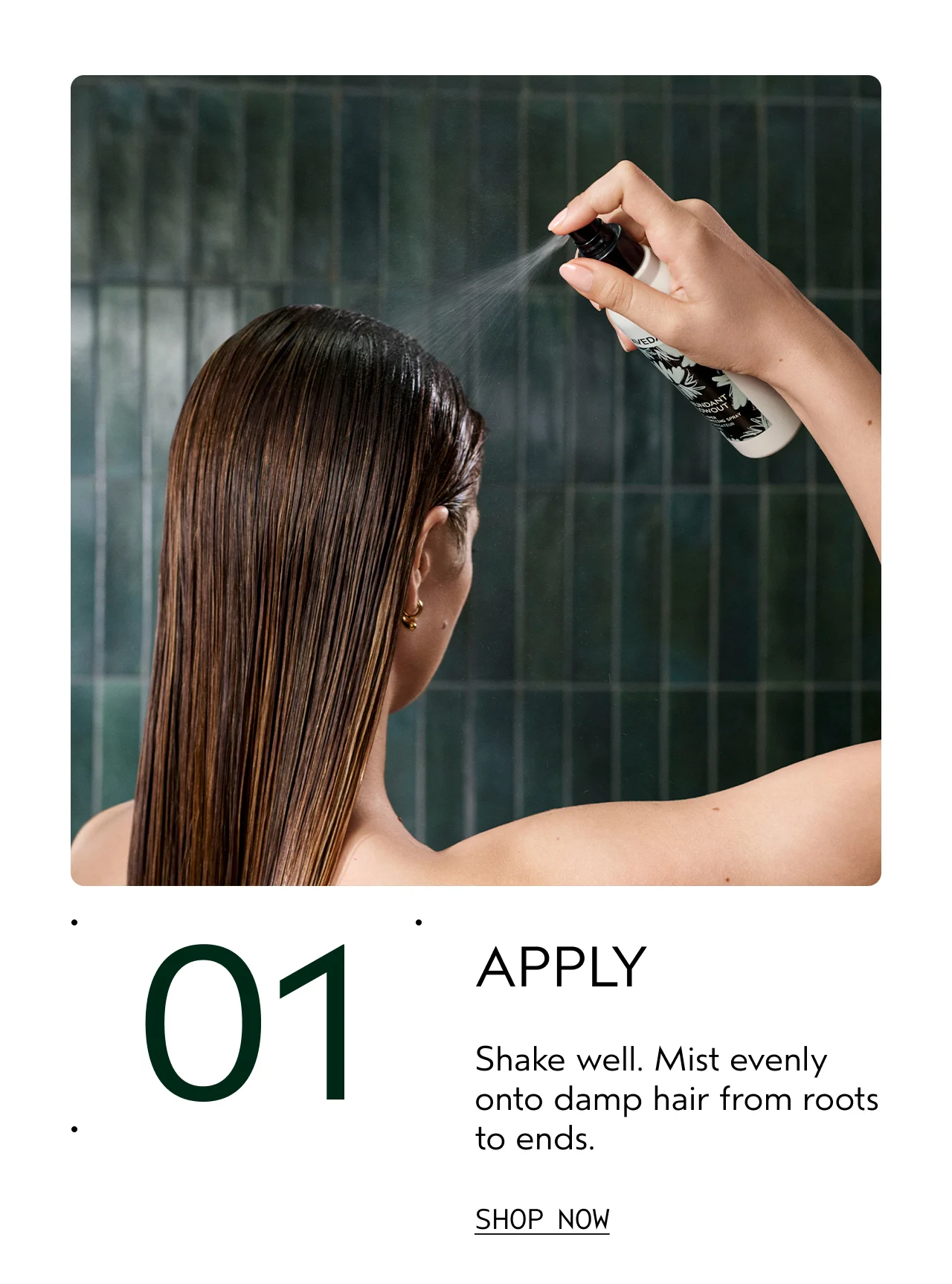 01 APPLY Shake well. Mist evenly onto damp hair from roots to ends.