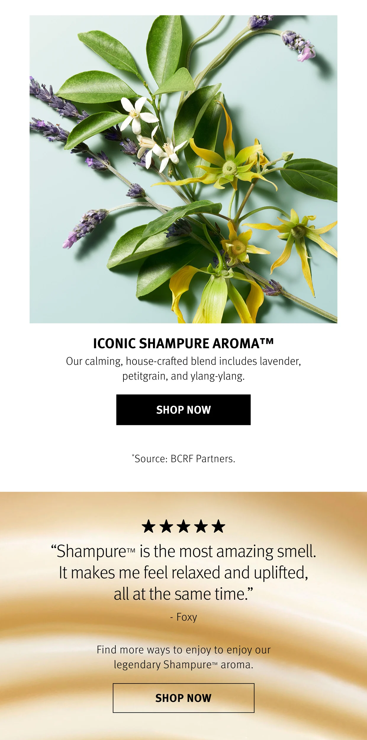 ICONIC SHAMPURE AROMA Our calming, house-crafted blend includes lavender, petigrain, and ylang-ylang.