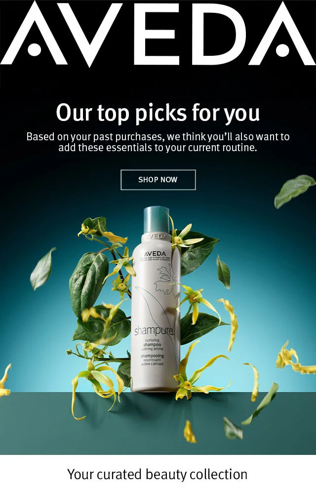 Our top picks for you Based on your past purchases, we think you'll also want to add these essentials to your current routine.