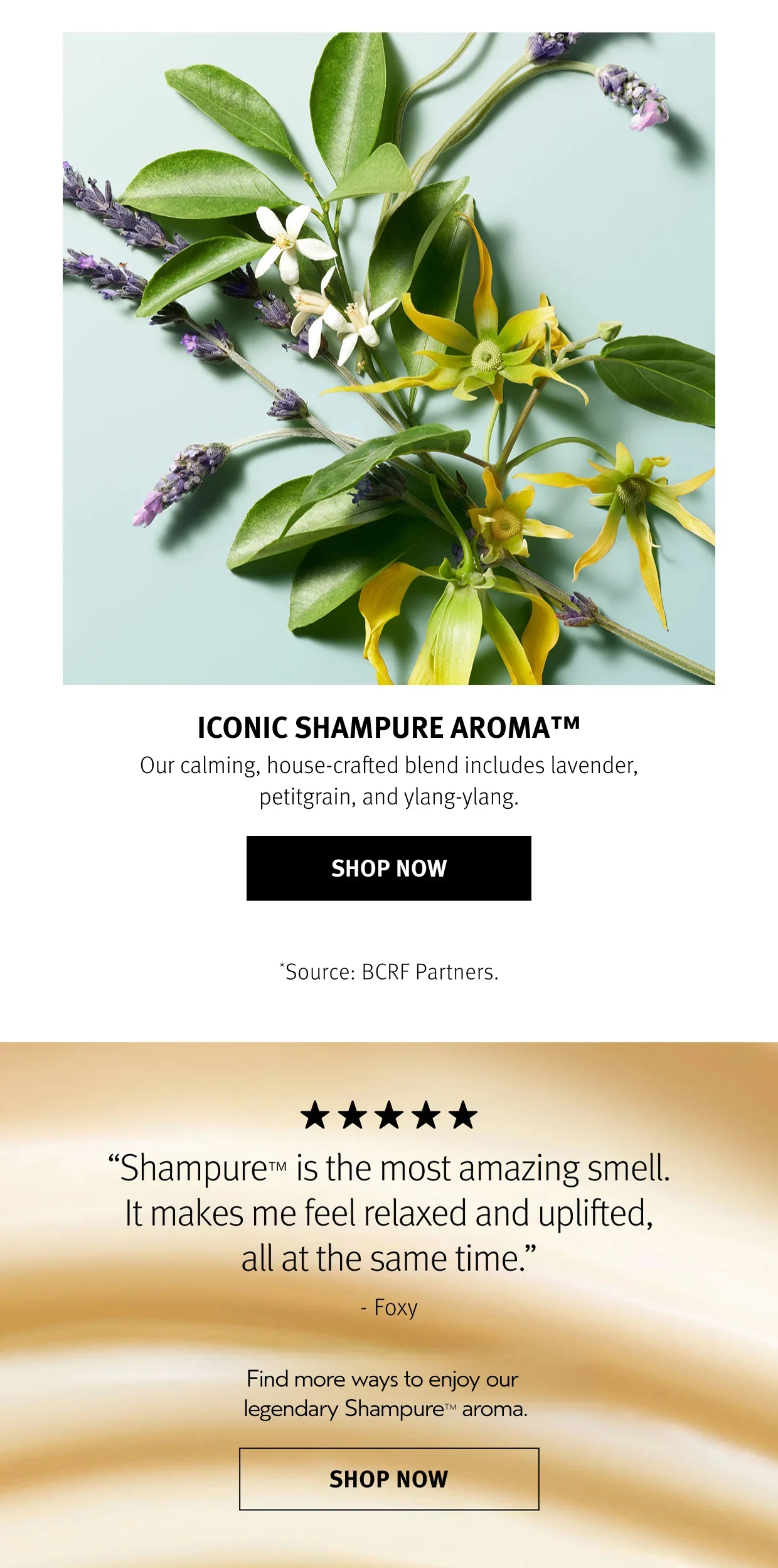 ICONIC SHAMPURE AROMA Our calming, house-crafted blend includes lavender, petigrain, and ylang-ylang.