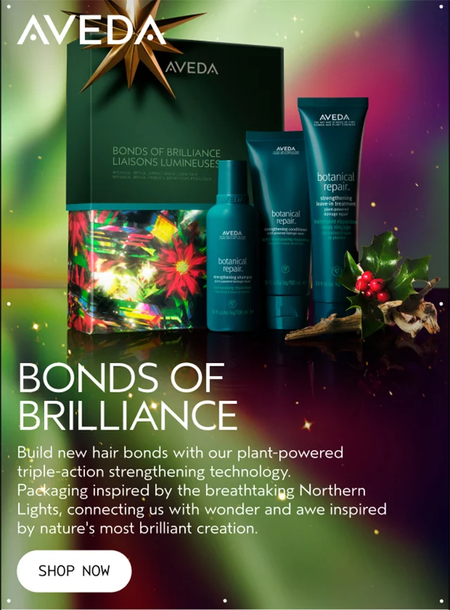 BONDS OF BRILLIANCE Build new hair bonds with our plant-powered triple-action strengthening technology. Packaging inspired by the breathtaking Northern Lights, connecting us with wonder and awe inspired by nature's most brilliant creation. SHOP NOW