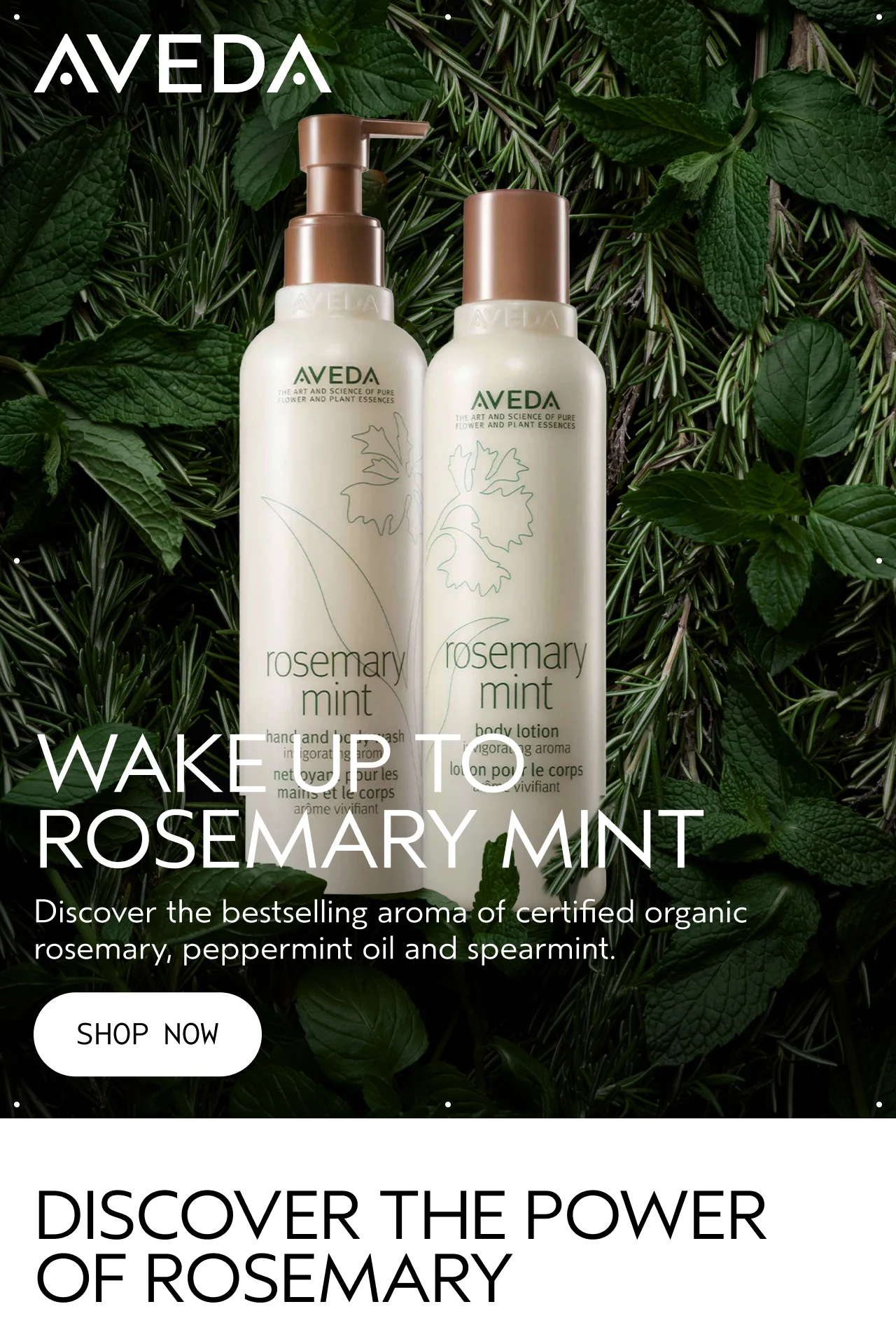 WAKE UP TO ROSEMARY MINT Discover the bestselling aroma of certified organic rosemary, peppermint oil and spearmint. SHOP NOW