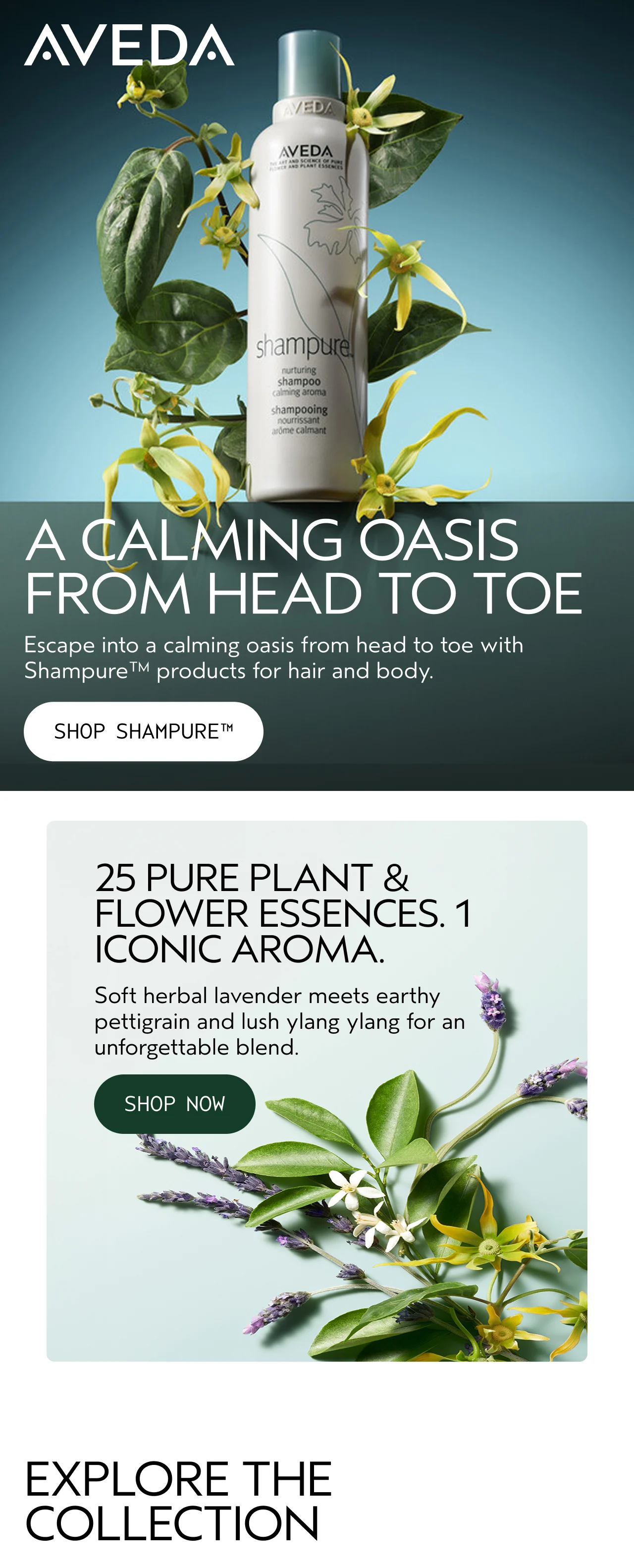 A CALMING OASIS FROM HEAD TO TOE Escape into a calming oasis from head to toe with Shampure products for hair and body. SHOP SHAMPURE