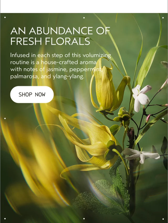 AN ABUNDANCE OF FRESH FLORALS Infused in each step of this volumizing routine is a house-crafted aroma with notes of jasmine, pepperming, palmarosa, and ylang-ylang. SHOP NOW