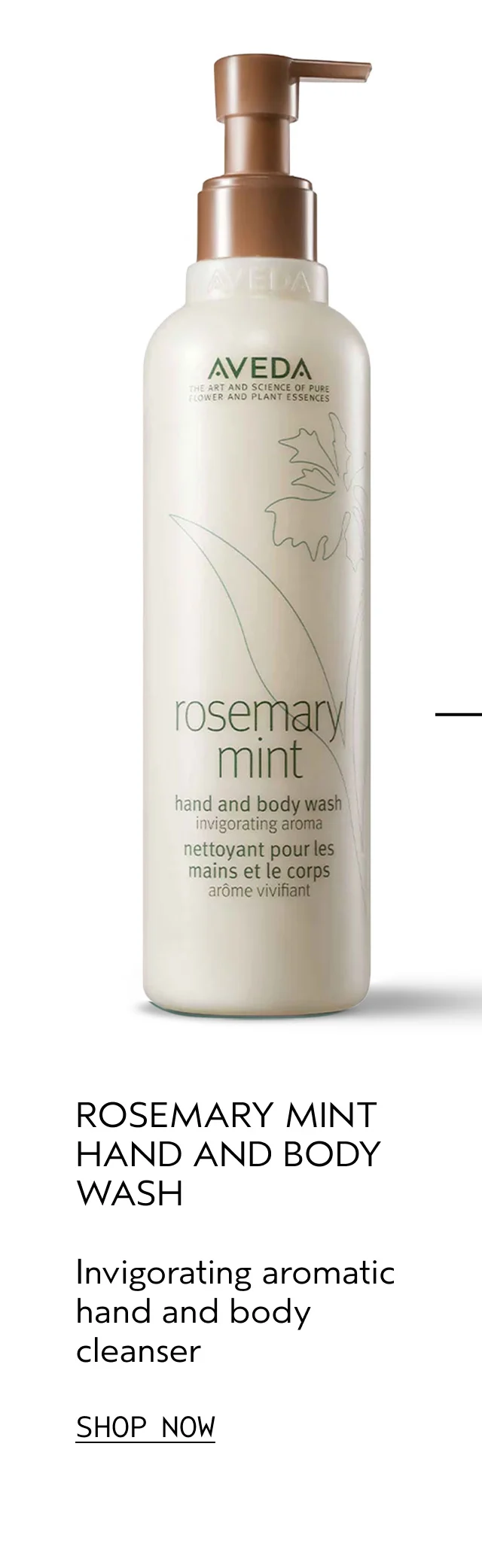 ROSEMARY MINT HAND AND BODY WASH Invigorating aromatic hand and body cleanser SHOP NOW