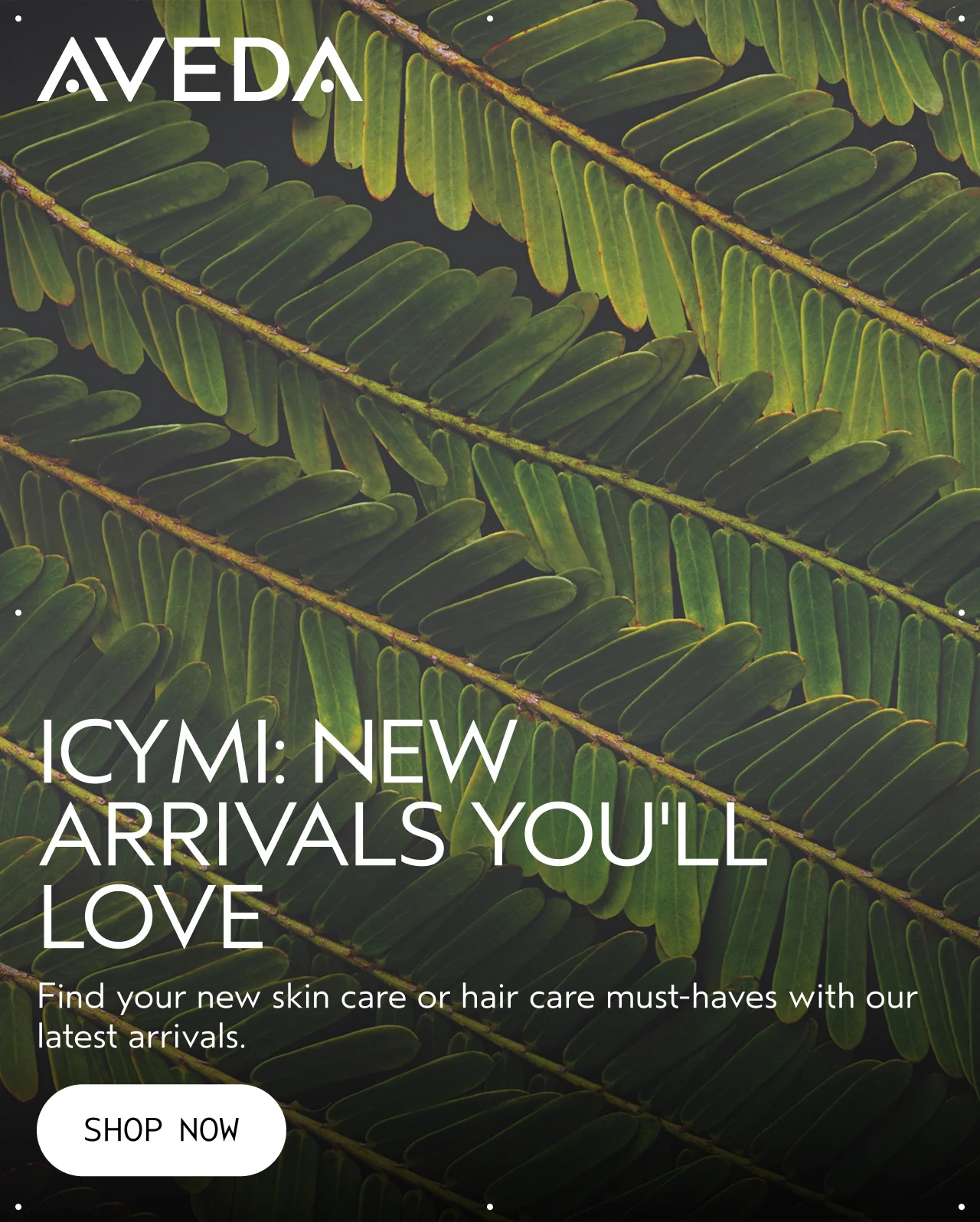 ICYMI: NEW ARRIVALS YOU'LL LOVE Find your new skin care or hair care must-haves with our latest arrivals. SHOP NOW
