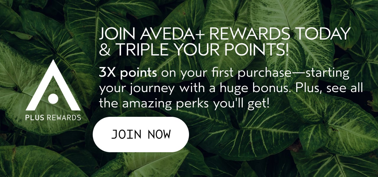 JOIN AVEDA+ REWARDS TODAY & TRIPLE YOUR POINTS! 3X points on your first purchase—starting your journey with a huge bonus. Plus, see all the amazing perks you'll get! JOIN NOW