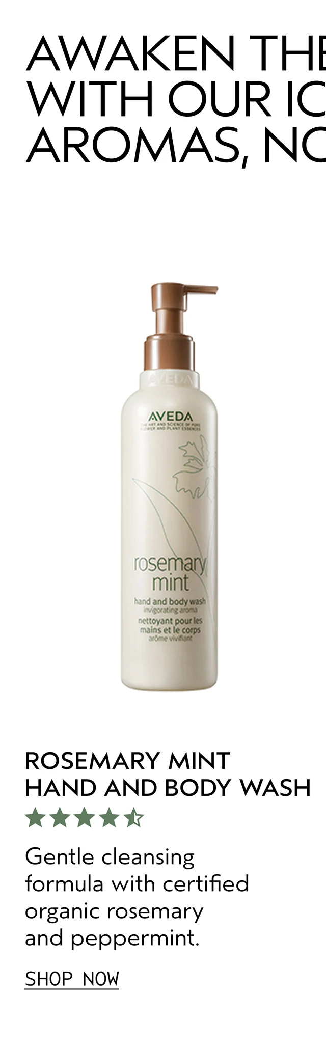 ROSEMARY MINT HAND AND BODY WASH Gentle cleansing formula with certified organic rosemary and peppermint. SHOP NOW