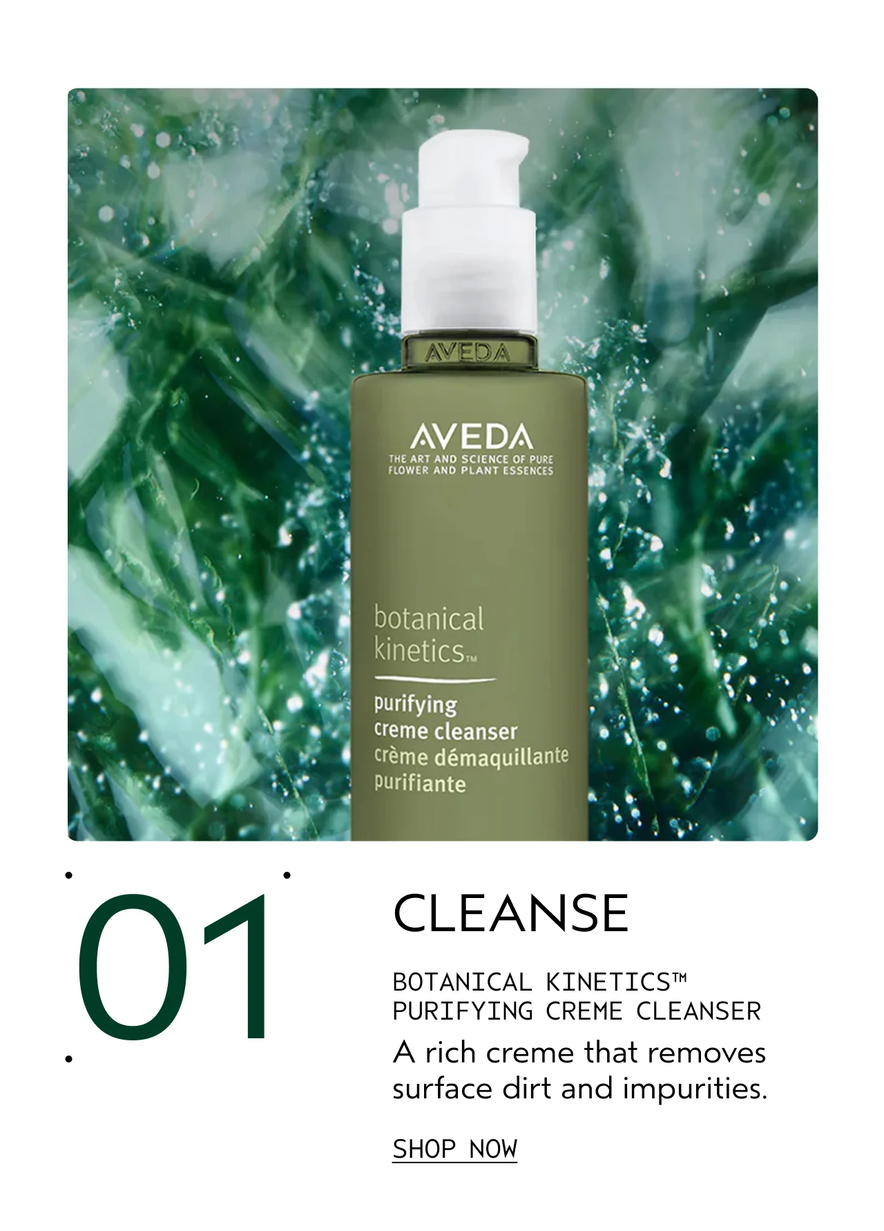 01 CLEANSE BOTANICAL KINETICS PURIFYING CREME CLEANSER A rich creme that removes surface dirt and impurities. SHOP NOW