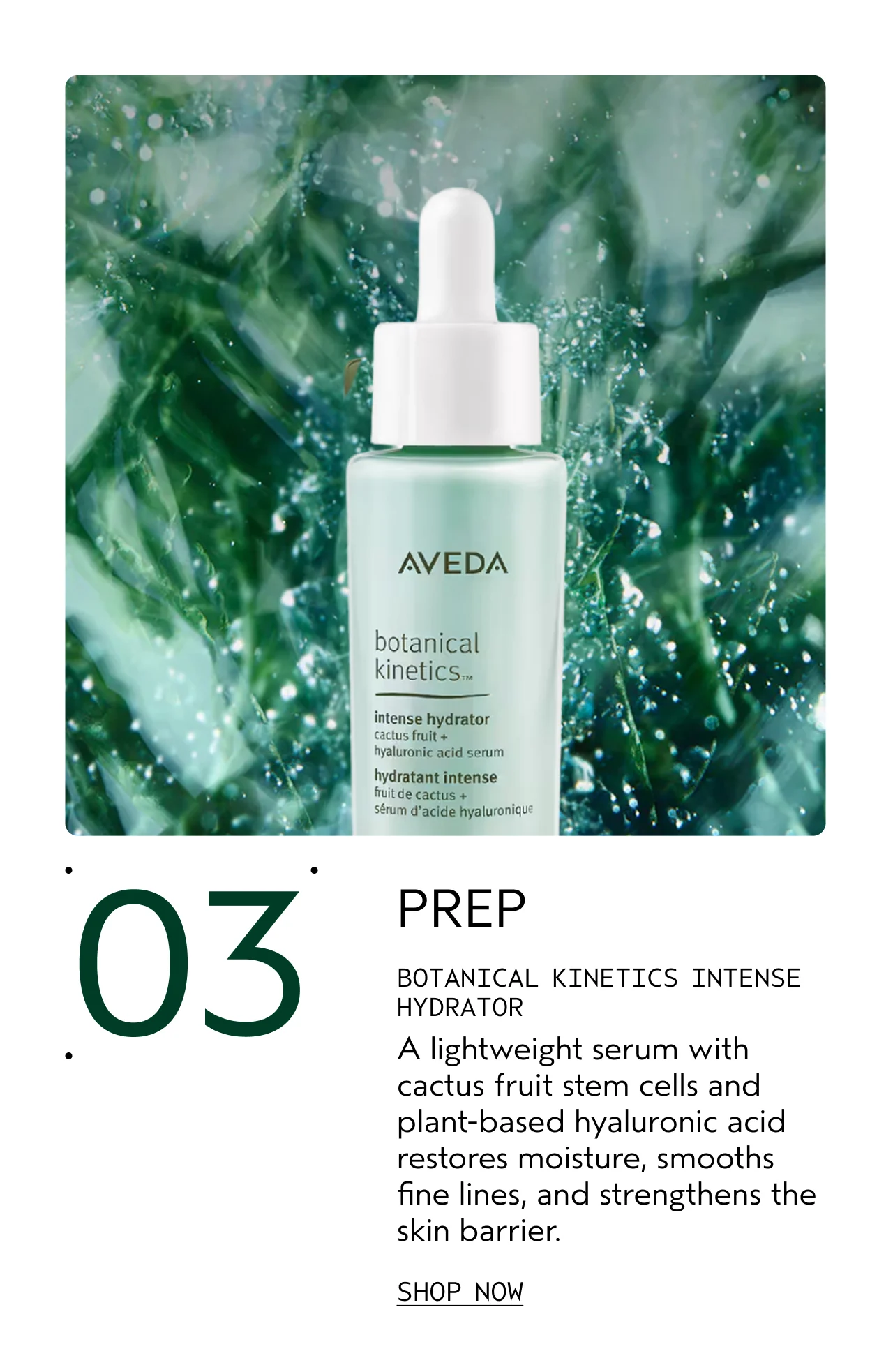 03 PREP BOTANICAL KINETICS INTENSE HYDRATOR A lightweight serum with cactus fruit stem cells and plant-based hyaluronic acid restores moisture, smooths fine lines, and strengthens the skin barrier. SHOP NOW