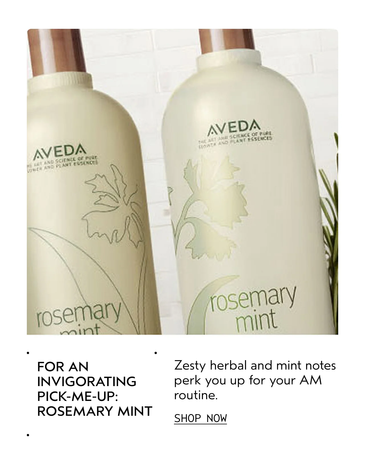FOR AN INVIGORATING PICK-ME-UP: ROSEMARY MINT Zesty herbal and mint notes perk you up for your AM routine. SHOP NOW