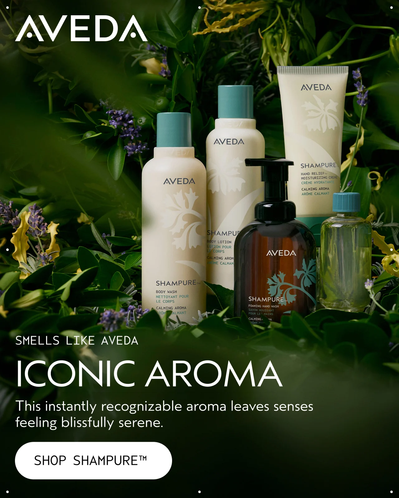 SMELLS LIKE AVEDA ICONIC AROMA This instantly recognizable aroma leaves senses feeling blissfully serene. SHOP SHAMPURE
