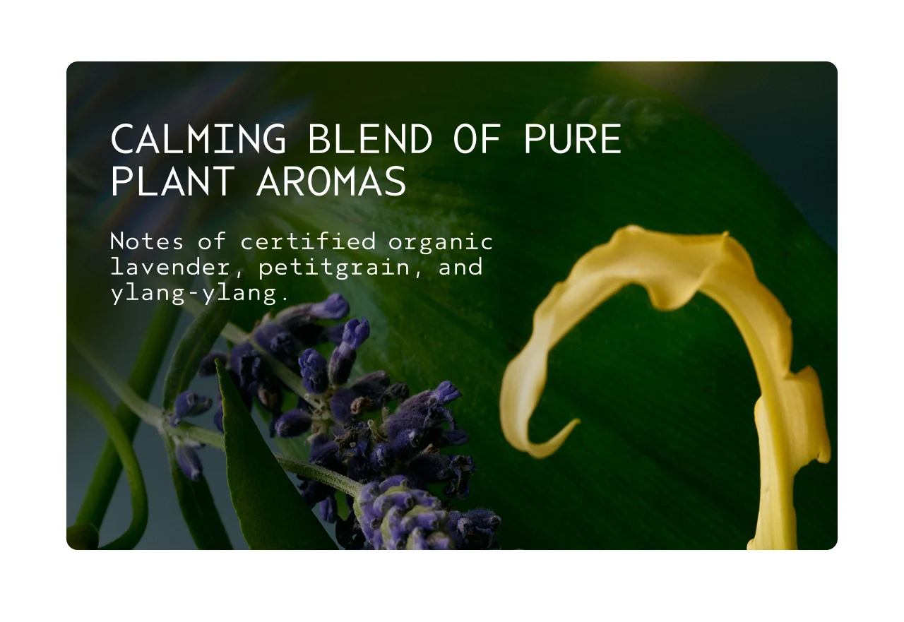 CALMING BLEND OF PURE PLANT AROMAS Notes of certified organic lavender, petitgrain, and ylang-ylang.