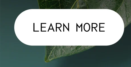 LEARN MORE