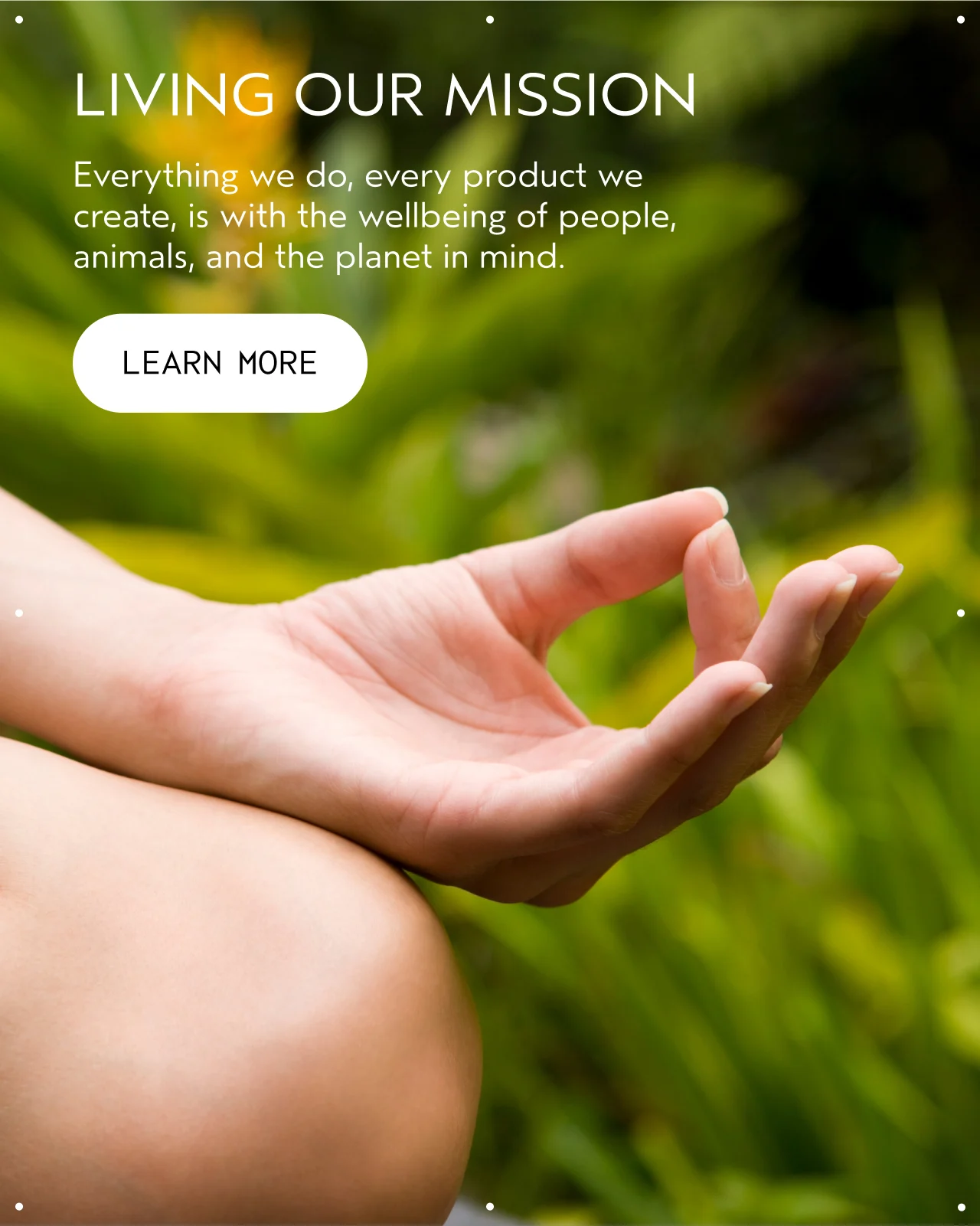 LIVING OUR MISSION Everything we do, every product we create, is with the wellbeing of people, animals, and the planet in mind. LEARN MORE