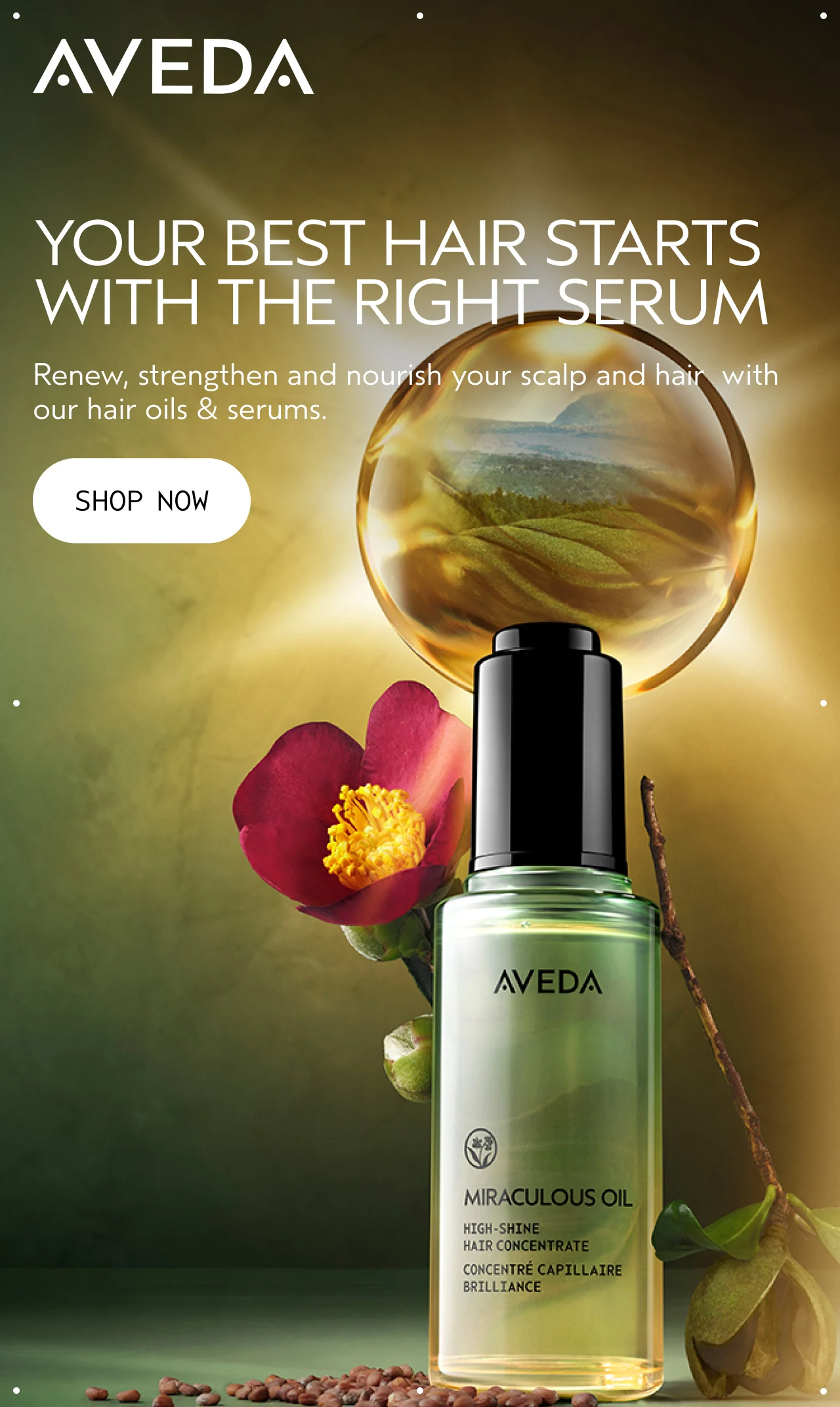 YOUR BEST HAIR STARTS WITH THE RIGHT SERUM | Renew, strengthen and nourish your scalp and hair with our hair oils & serums. | SHOP NOW