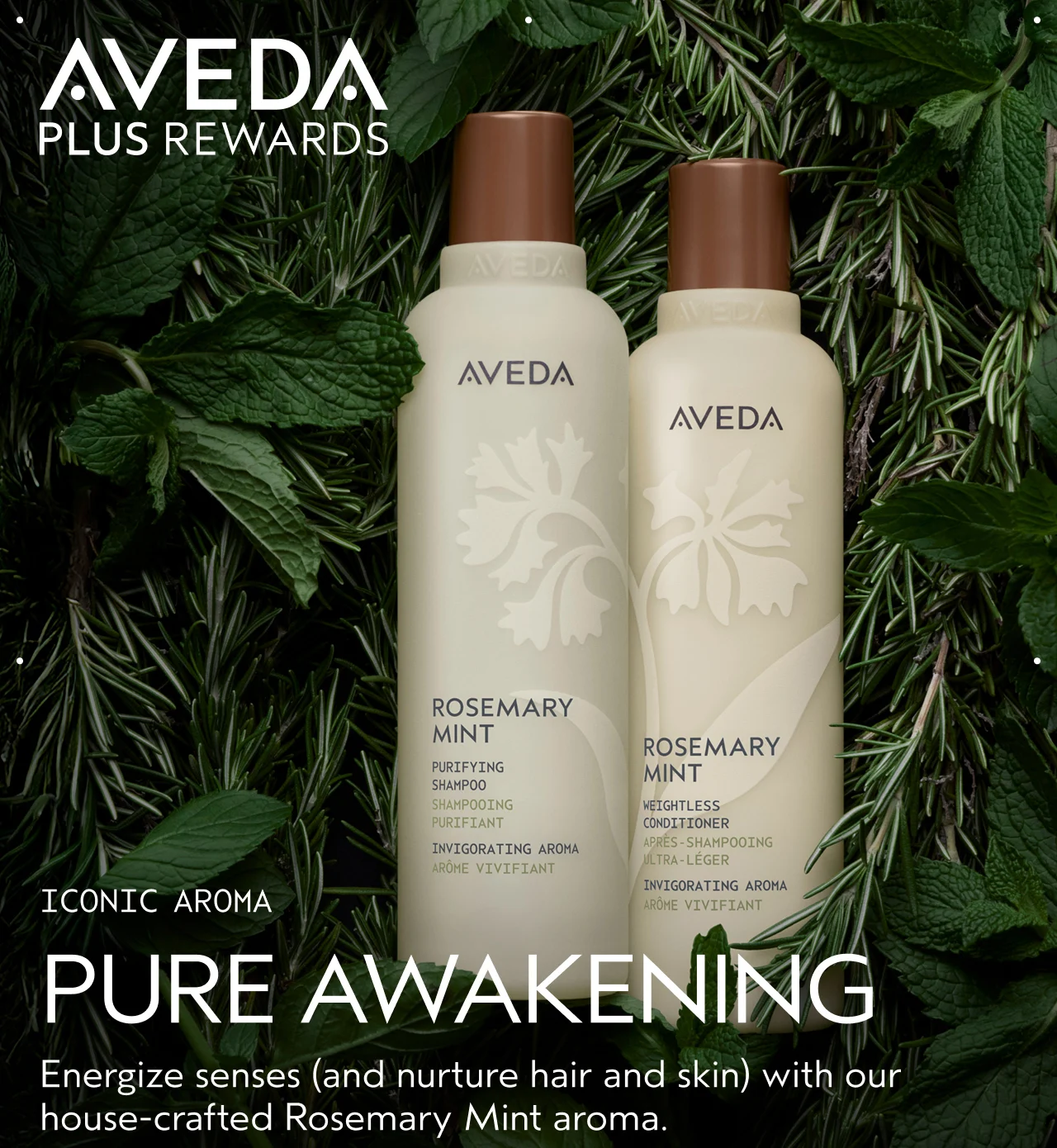ICONIC AROMA PURE AWAKENING Energize senses and nurture hiar and skin with our house-crafted Rosemary Mint aroma.